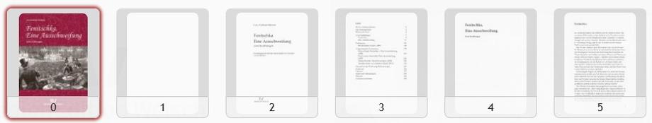 Screenshot einiger Seiten der Leseprobe