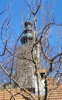 Foto von Kirchturm hinter Obstbaumkrone